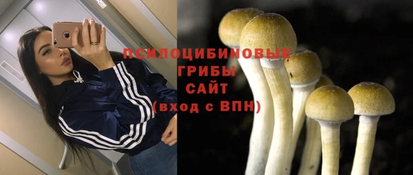 гашиш Богданович