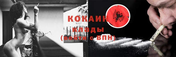 тгк Богородицк