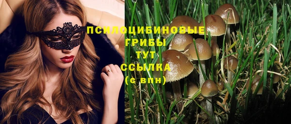 тгк Богородицк