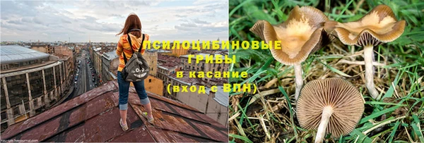 тгк Богородицк