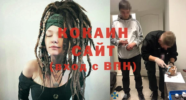 гашиш Богданович