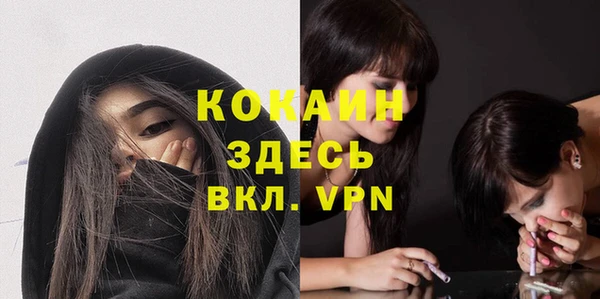 тгк Богородицк