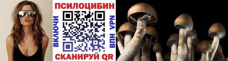 Галлюциногенные грибы Psilocybe  Городец 