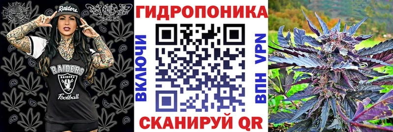 omg ССЫЛКА  Городец  МАРИХУАНА SATIVA & INDICA 